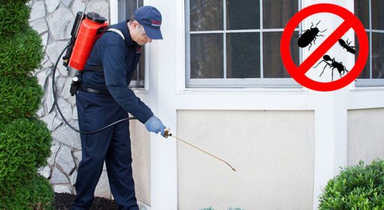 Akdağmadeni Kene İlaçlama böcek ilaçlama ve haşere kontrolü — ilaclama-tr.com